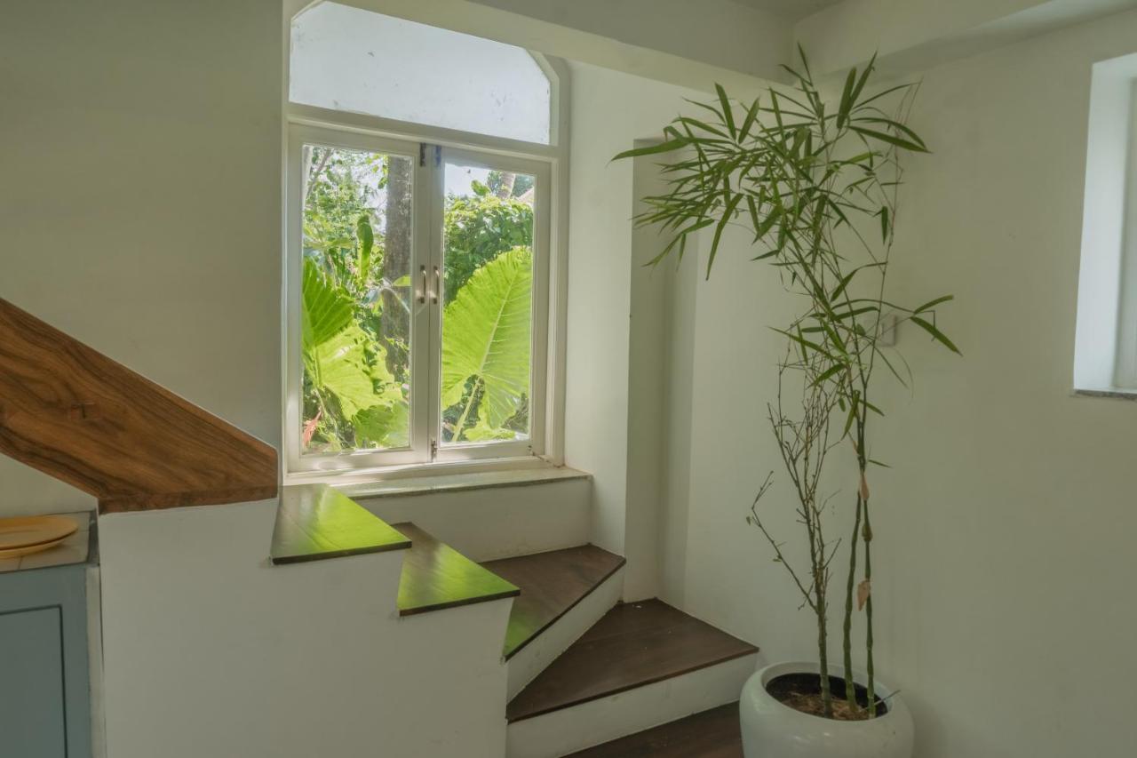 The Island Sanctuary - A Village Secret Chorao Buitenkant foto