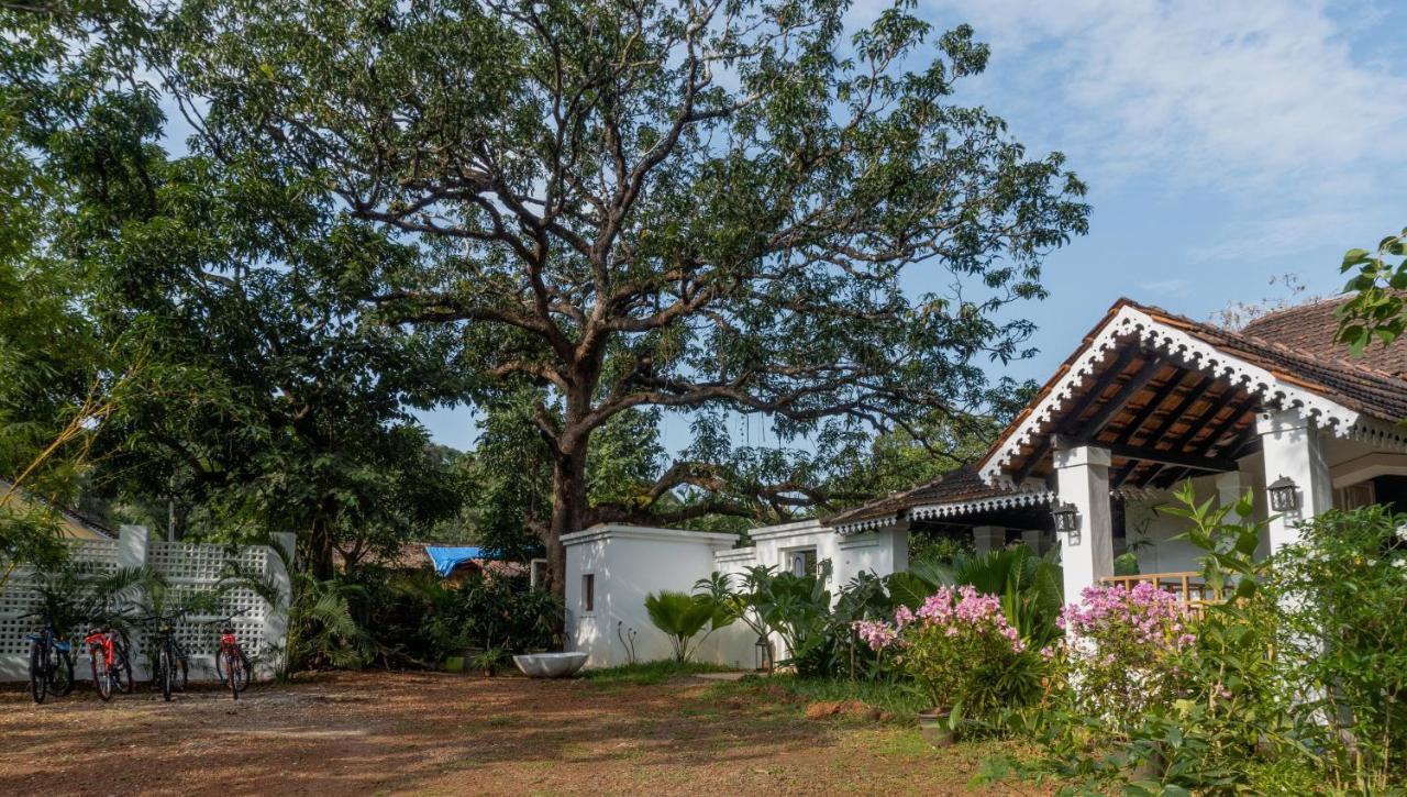 The Island Sanctuary - A Village Secret Chorao Buitenkant foto